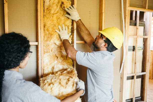 Insulation Contractors for Homes in Thomasville, AL